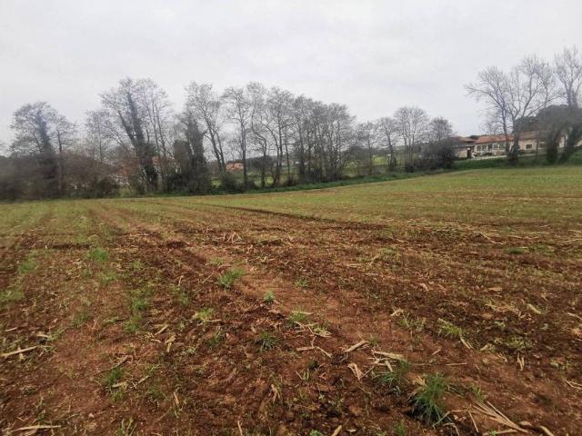 Terreno en venta en Gozón, Asturias