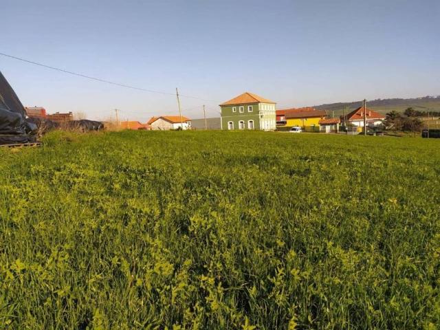 Terreno en venta en Gozón, Asturias