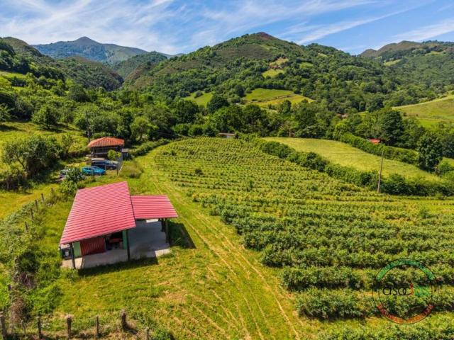 Terreno en venta en Grado, Asturias