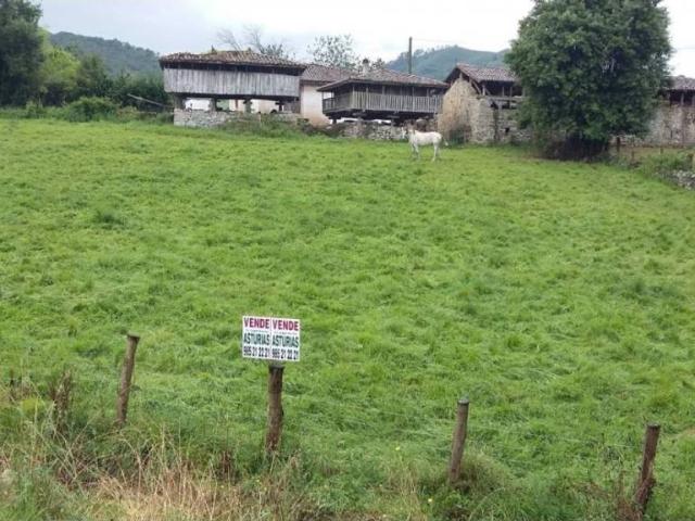 Terreno en venta en Grado, Asturias