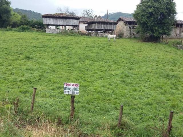 Terreno en venta en Grado, Asturias
