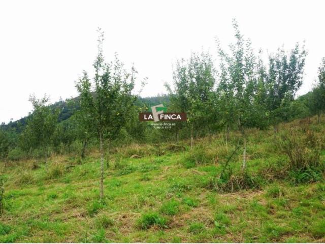 Terreno en venta en Grado, Asturias