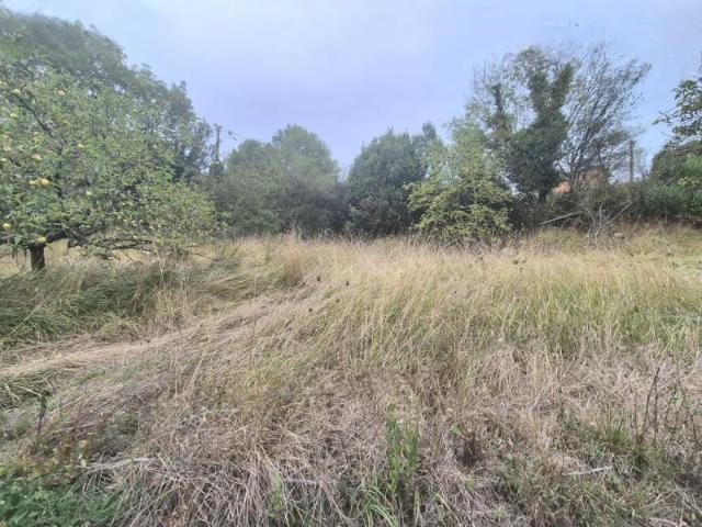 Terreno en venta en Grado, Asturias
