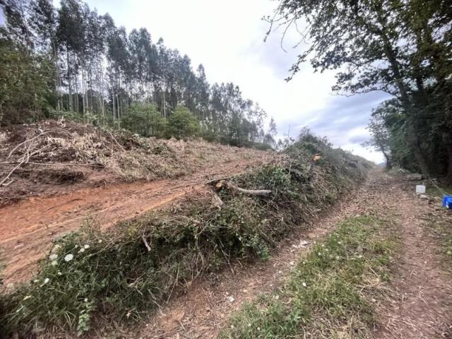 Terreno en venta en Grado, Asturias