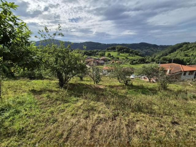 Terreno en venta en Grado, Asturias