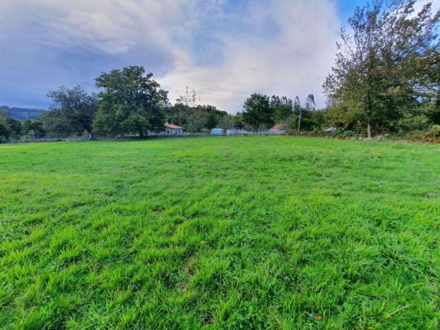 Terreno en venta en Grado, Asturias