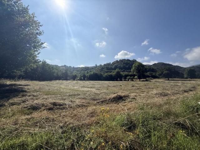 Terreno en venta en Grado, Asturias