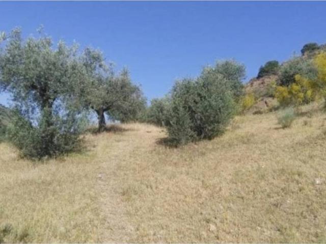 Terreno en venta en Albaicín, Comarca de la Vega de Granada