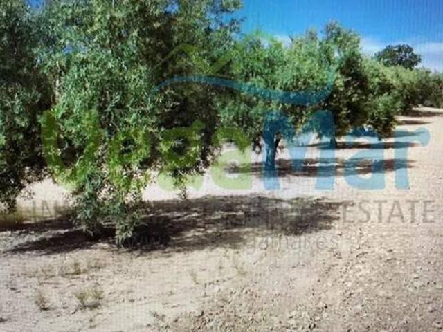 Terreno en venta en Comarca de la Vega de Granada, Andalucía