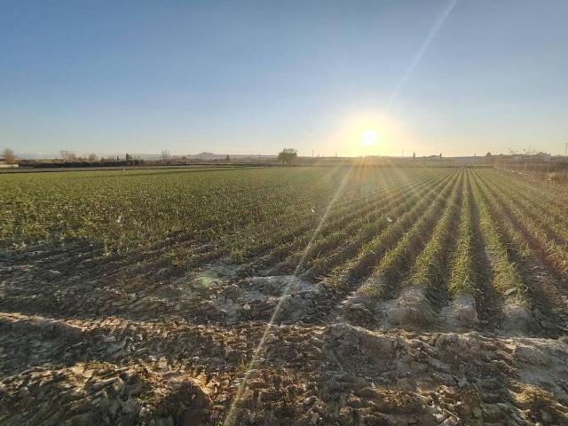 Terreno en venta en Granada