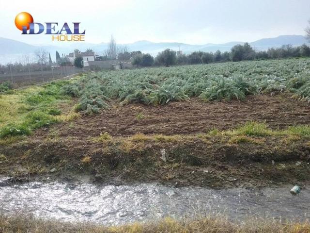 Terreno en venta en Comarca de la Vega de Granada, Andalucía