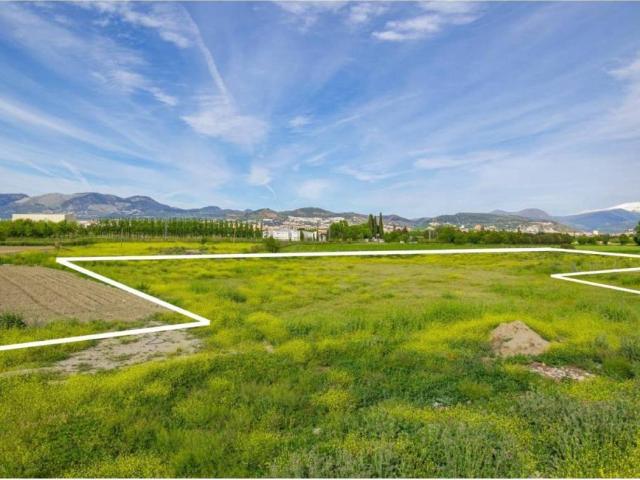 Terreno en venta en Comarca de la Vega de Granada, Andalucía