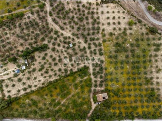 Terreno en venta en Comarca de la Vega de Granada, Andalucía