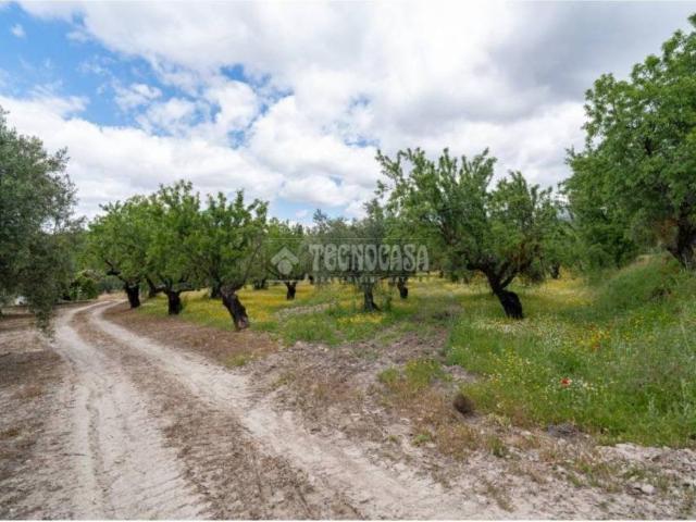 Terreno en venta en Comarca de la Vega de Granada, Andalucía