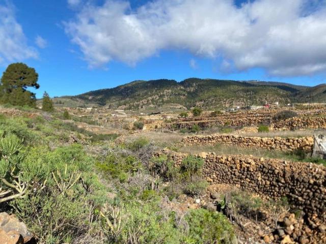 Terreno en venta en Granadilla de Abona, Canarias