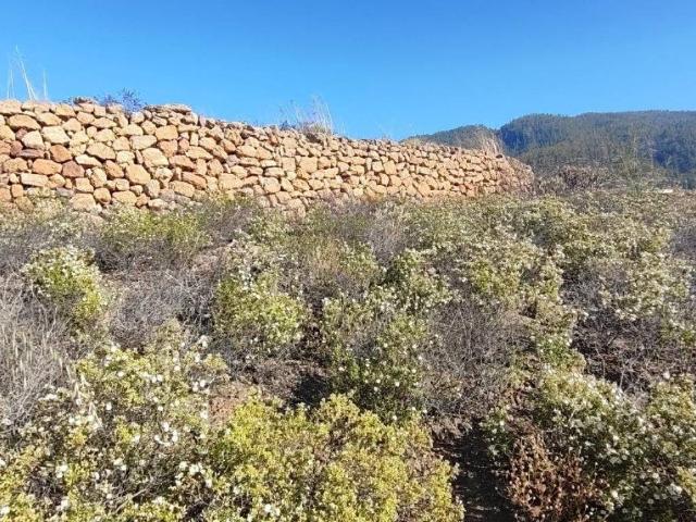 Terreno en venta en Granadilla de Abona, Canarias
