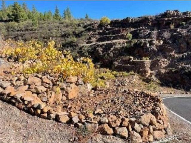 Terreno en venta en Granadilla de Abona, Canarias