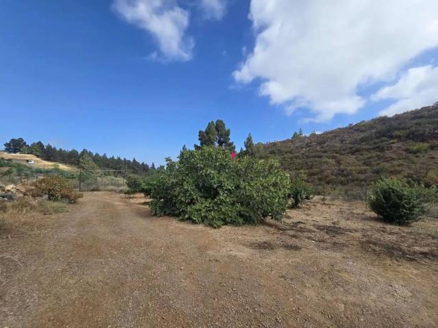Terreno en venta en Cruz de Tea, Granadilla de Abona