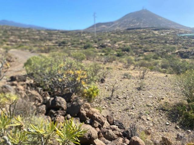 Terreno en venta en Granadilla de Abona, Canarias