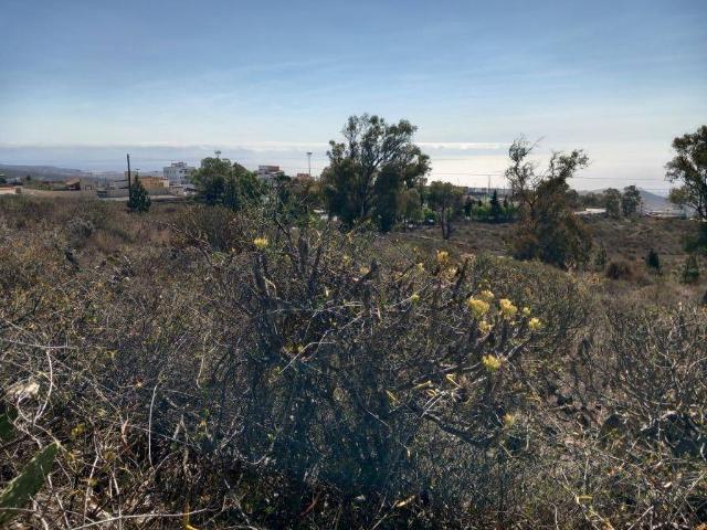 Terreno en venta en Granadilla de Abona, Canarias