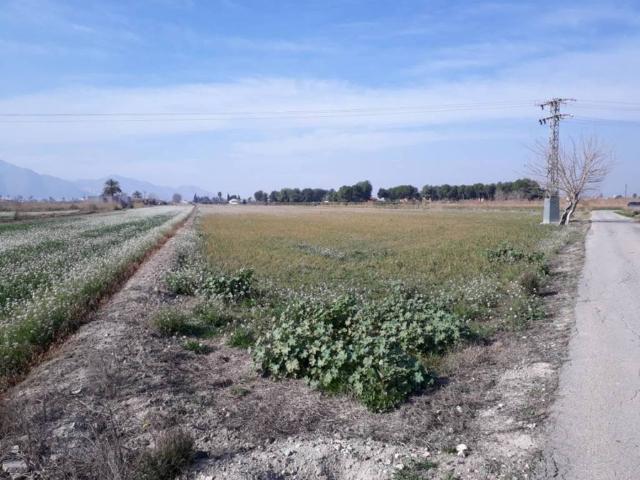 Terreno en venta en Granja de Rocamora, Alacant / Alicante