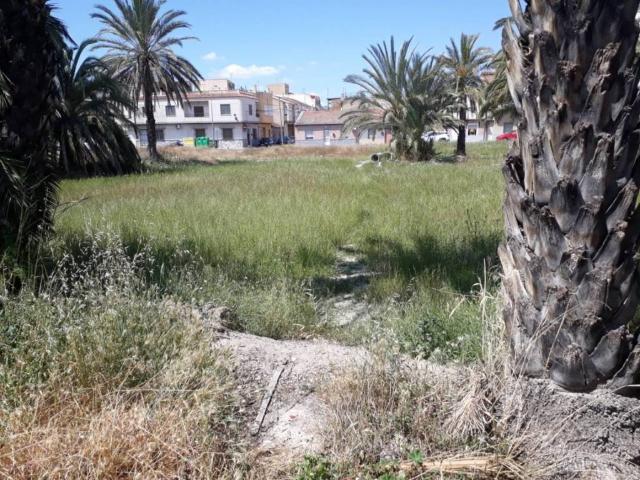Terreno en venta en el Baix Segura / La Vega Baja, Valencia