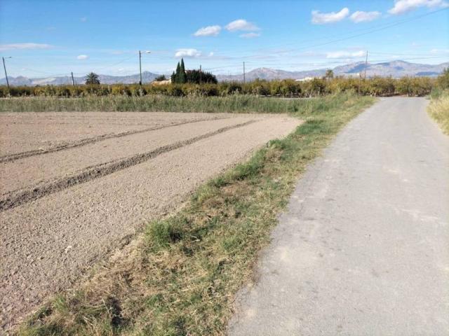 Terreno en venta en el Baix Segura / La Vega Baja, Valencia