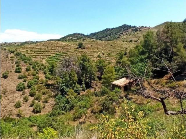 Terreno en venta en l'Ermita, Gratallops