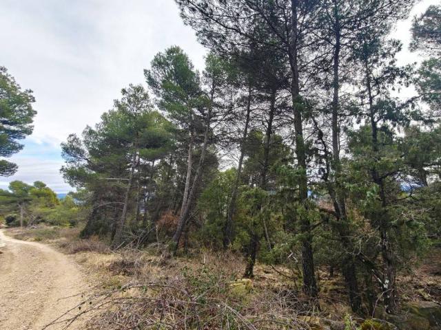 Terreno en venta en Graus, Ribagorza