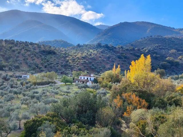 Terreno en venta en Sierra de Cádiz, Andalucía