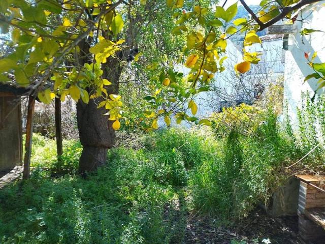 Terreno en venta en Sierra de Cádiz, Andalucía