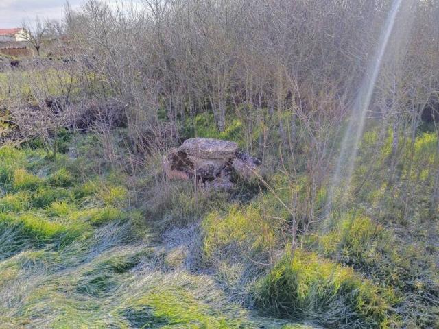 Terreno en venta en Grijalba, Castilla y León