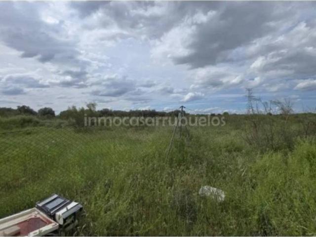 Terreno en venta en Griñón, Madrid