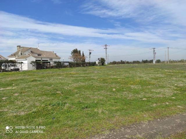 Terreno en venta en Griñón, Madrid