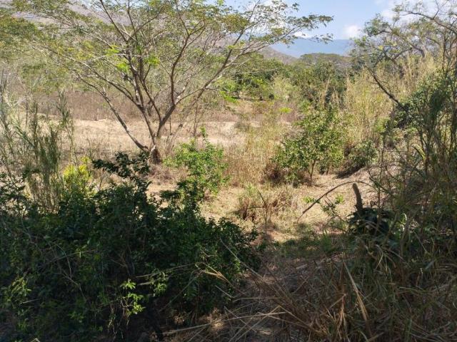 Terreno en venta en Guacara, Carabobo