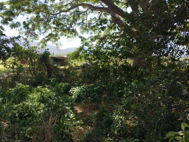 Terreno en venta en Guacara, Carabobo