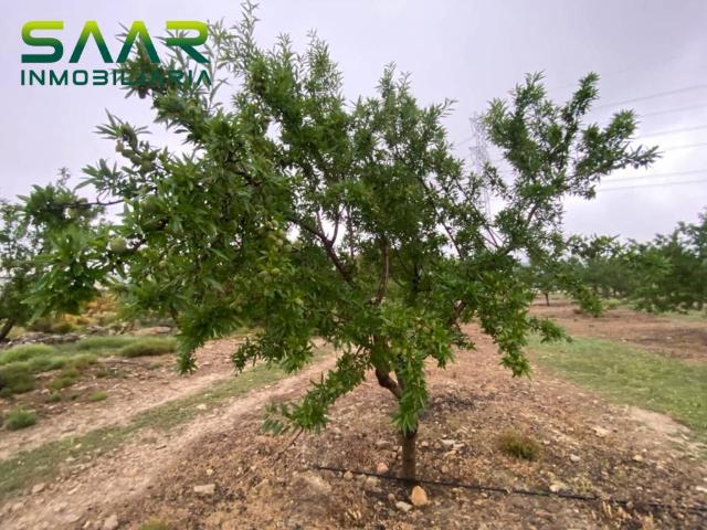 Terreno en venta en Comarca de Los Montes, Andalucía
