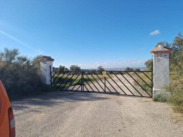 Terreno en venta en Guadalajara, Castilla-La Mancha