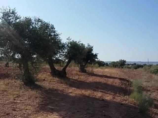 Terreno en venta en Villanueva De La Torre