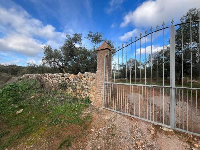 Terreno en venta en Guadalcanal, Andalucía