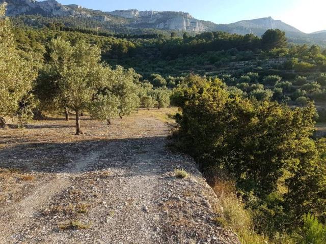 Terreno en venta en la Marina Baixa, Valencia
