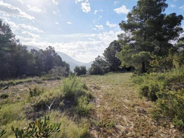 Terreno en venta en la Marina Baixa, Valencia