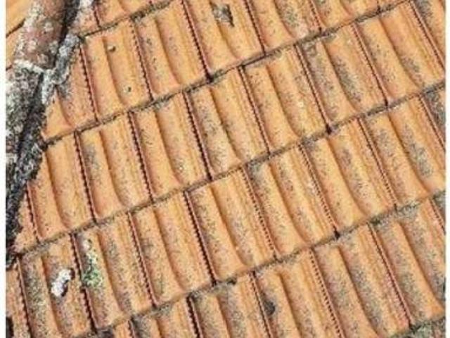 Terreno en venta en Guadalix De La Sierra, Madrid