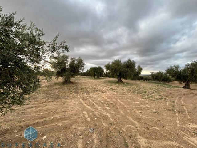 Terreno en venta en Guadamur, Castilla-La Mancha