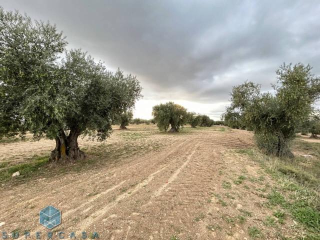 Terreno en venta en Guadamur