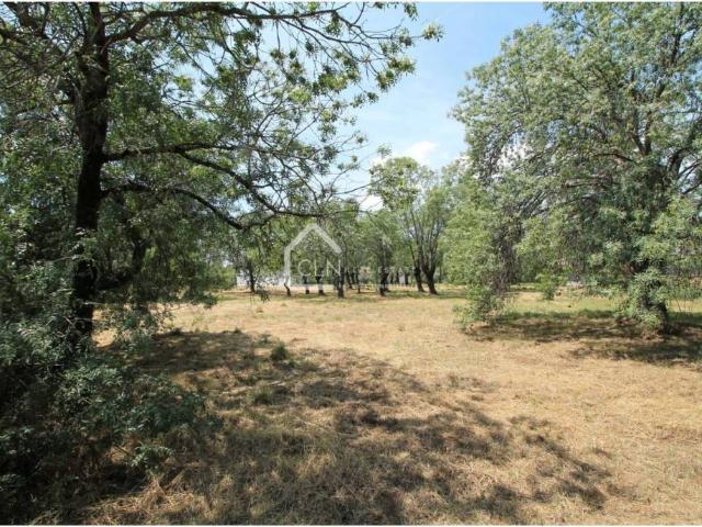 Terreno en venta en Guadarrama, Madrid