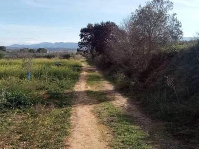 Terreno en venta en la Vall d'Albaida, Valencia