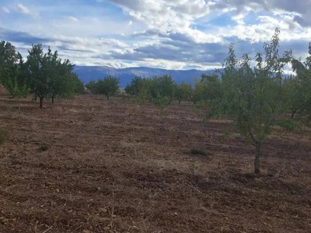 Terreno en venta en Comarca de Guadix, Andalucía