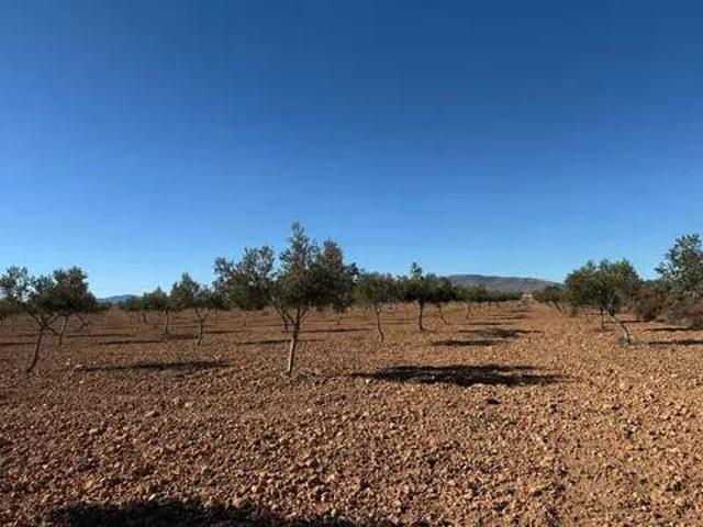 Terreno en venta en Belerda, Comarca de Guadix