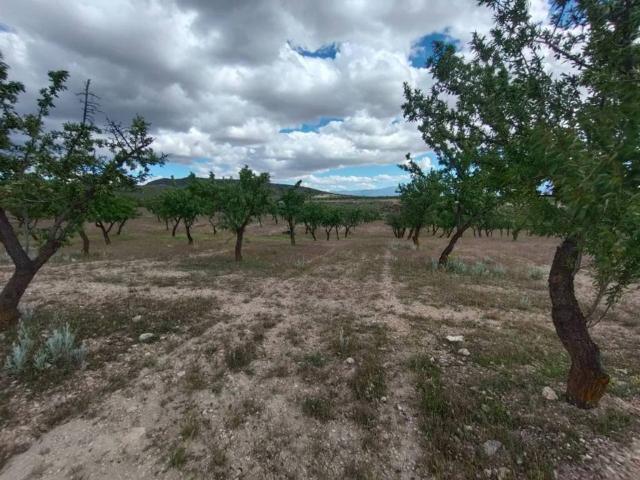 Terreno en venta en Comarca de Guadix, Andalucía